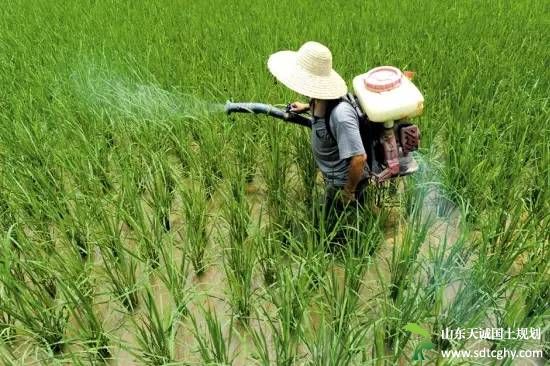 去年化肥农药利用率提高 两项共减少生产成本26亿元