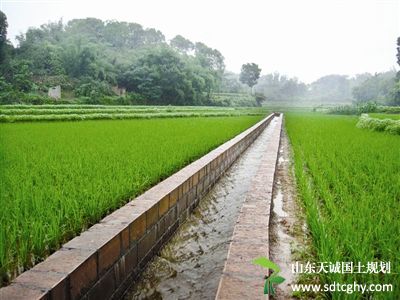 石嘴山强力推进农田水利建设 助农业生产惠民生