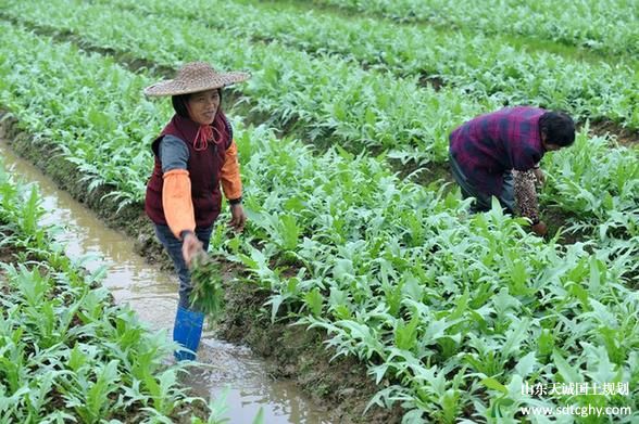 “玉林模式”农村土地流转面积达146万亩 流转率达55.1%
