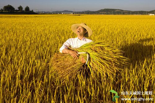 韩长赋：进城农民退出承包地需要历史过程和耐心