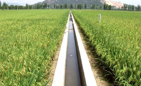 河南明确冬春农田水利建设任务 计划改善灌溉面积535万余亩