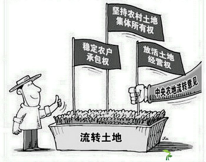 农村改革创新-“三权分置” 助力农业生产力提升