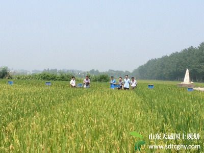 九江农土地确权接近尾声 为农业发展和农村和谐提供基础保障