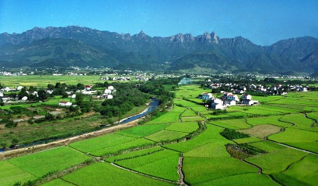 青阳县大力扶持家庭农场发展并取得显著成效