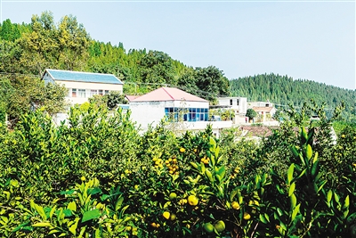 淅川县创新推出“金土地确权贷”解决土地经营融资难