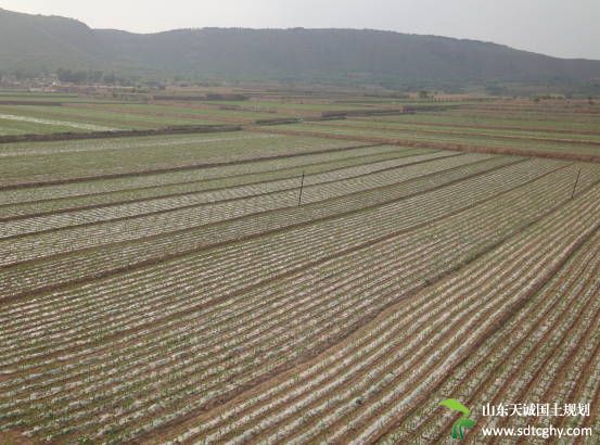 北京住宅地供应创五年新低现“供应荒”