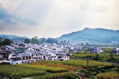 贵阳农土地流转精准扶贫 富了村民美化村容