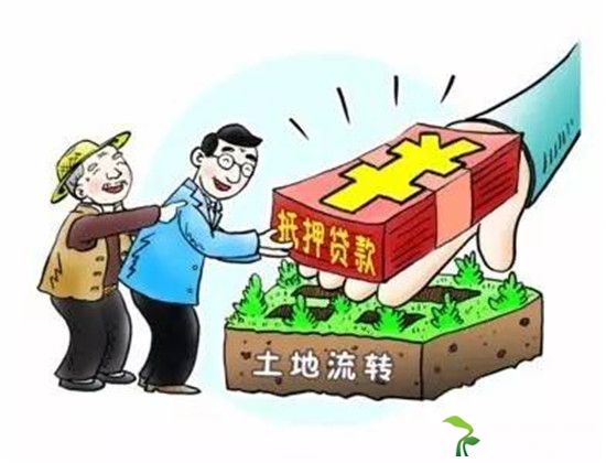 “两权”贷款激活农产权但同时也存在着一些问题