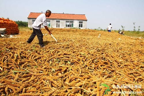 寒亭区推出土地经营权抵押贷款为农户疏通融资路