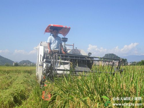 古城镇农土地流转盘活闲置土地助农民增收