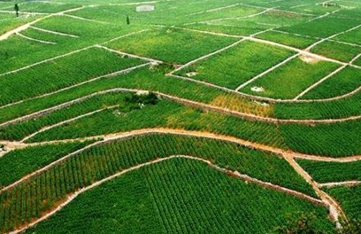 《全国土地整治规划（2016—2020年）》实施 将建4亿亩高标准农田