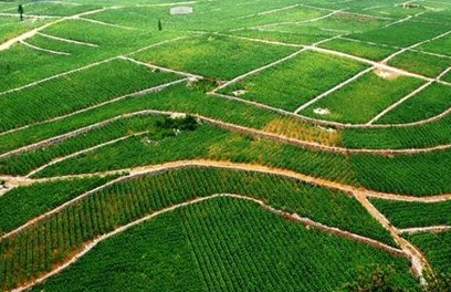 《全国土地整治规划(2016—2020年)》实施 将建4亿亩高标准农田