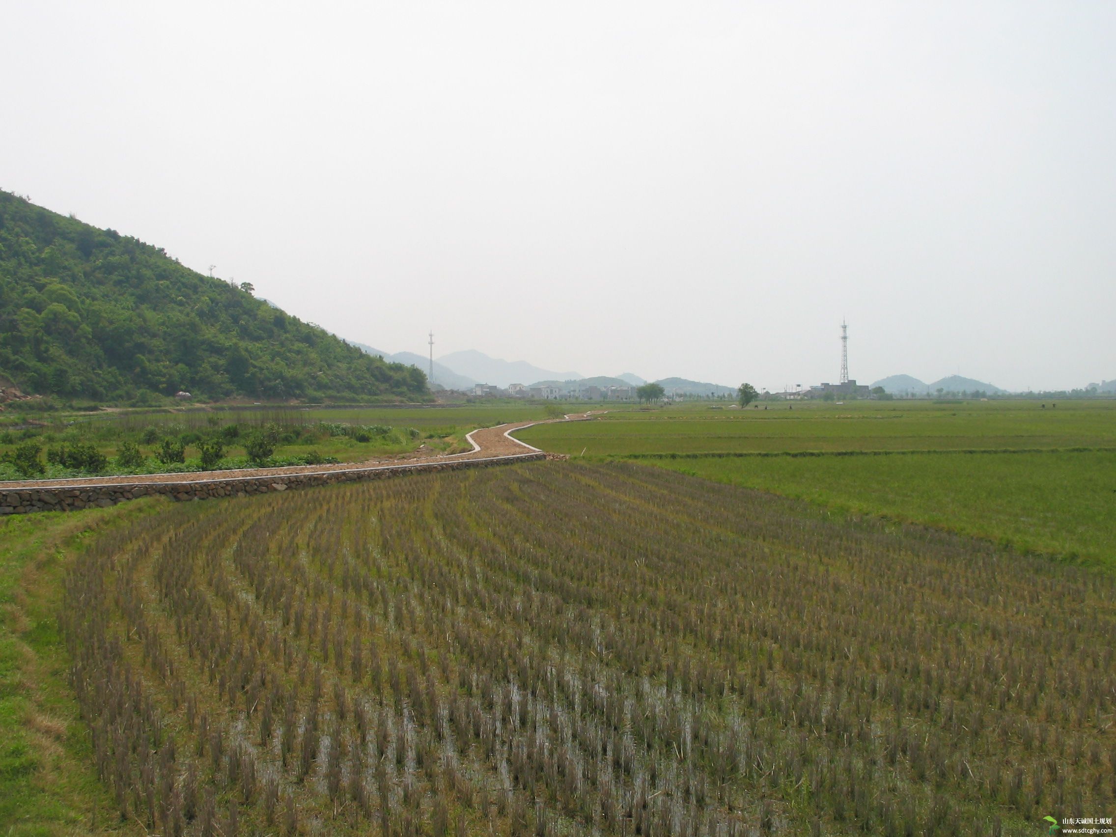 宁波象发放首笔土地贷款 破冰农土地经营权抵押贷款