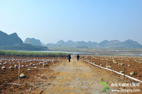 扶绥县“六大工程”加快土地整治进程惠及民生