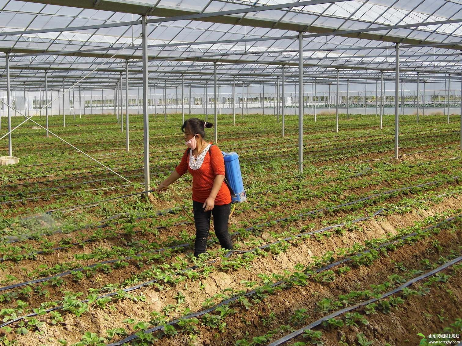 响水县成立“家庭农场联盟”旨在为农场发展服务