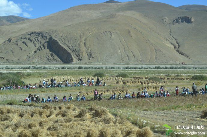 西藏有望通过承包地确权激发牧区发展助力牧民摘穷帽