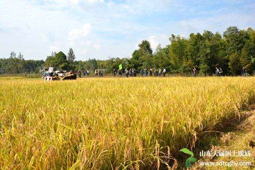 广德县强化家庭农场登记工作措施扶持农场发展