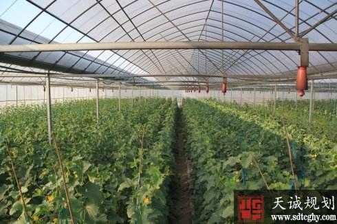 义乌市深入推进农土地改革提高农民人均收入水平