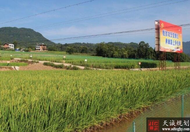 宣汉县农田水利建设引来活水一改耕种没水