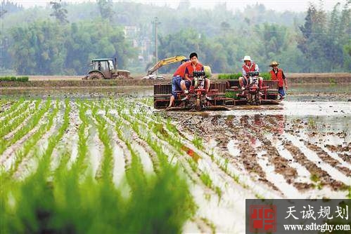 大足区土地整治小田变大田助力农民增收