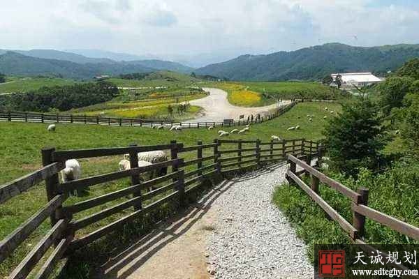 环保家庭农场发展助推乡村振兴战