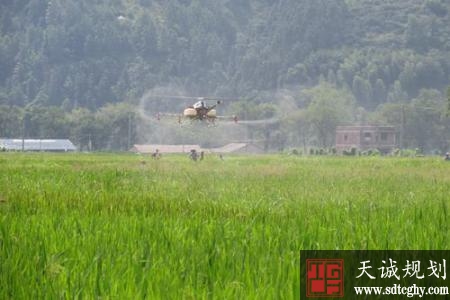 上饶县积极土里规模化土地流转 促进农业适度规模经营