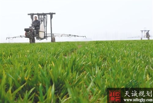 望都县农土地流转为农民开辟脱贫致富新思路