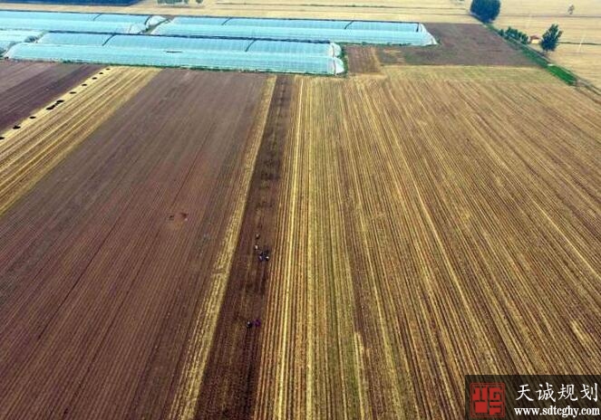 《山东省土地整治规划》明确严守耕地和基本农田保护红线