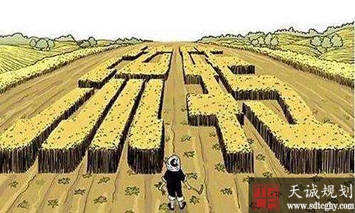 农土地流转让农民实现多元化收入
