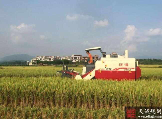 道县农土地流转改变传统种植方式开启村民致富新路