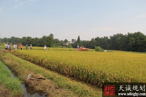 潜山县农土地流转让农民拿上“双工资”