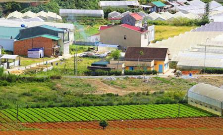 提高农村产业发展水平实现产业兴旺