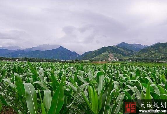 和静县农土地流转让农民脱离土地束缚对未来有更多规划