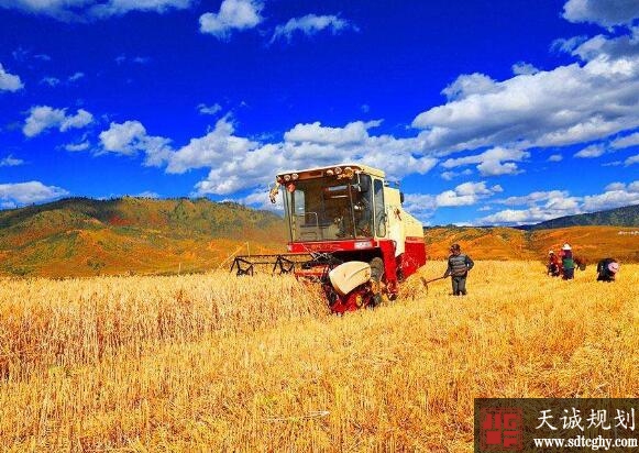 西藏争取三年时间完成360万亩粮食生产功能区地块划定任务