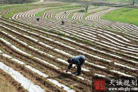 宜君县加快农土地流转推进农业产业发展步伐