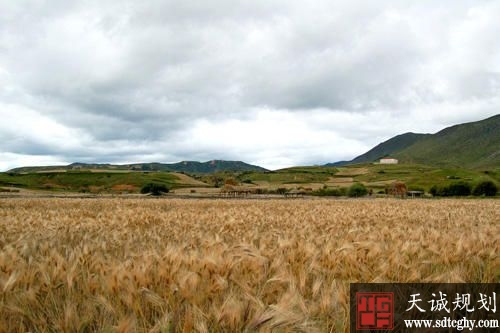 西藏全面启动粮食生产功能区划定工作促农民增收