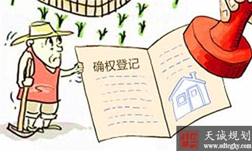 农村不予确权的土地如何处理?