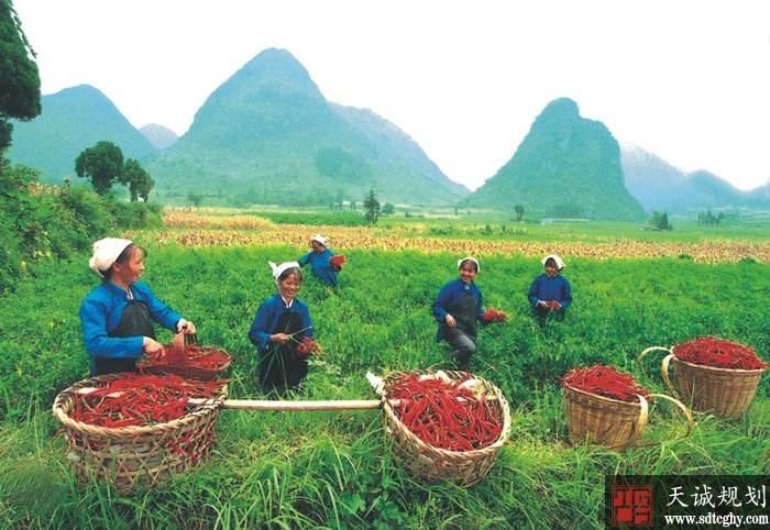 南丹县新型农业经营主体让土地流转“流”出效益“转”出活力