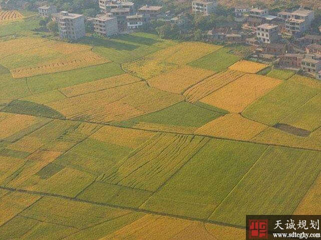 江西多措严防土地流转“非农化” 严格落实耕地保护制度