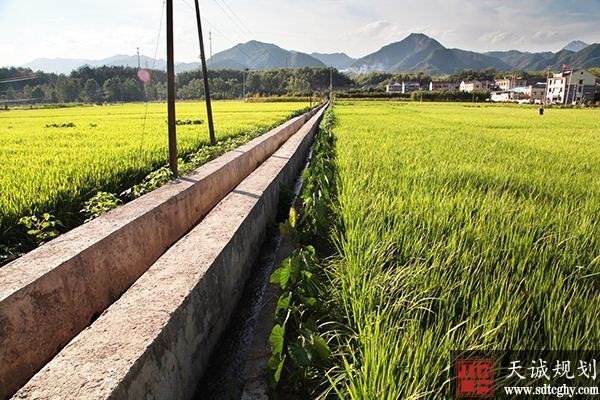 临安农土地确权成效显著 农民手中的土地变活