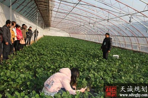 沂源县农商行三举措全力保障现代农业发展资金需求