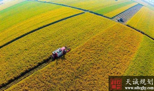 深化农业改革解决农民经营收入增长乏力问题