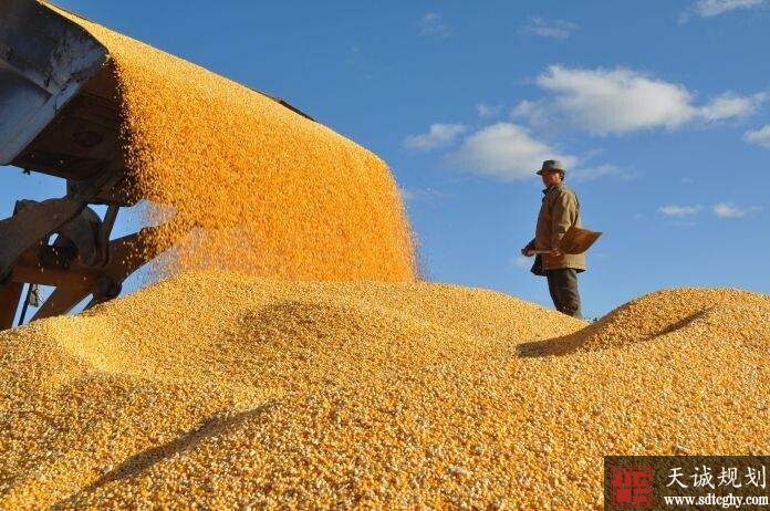 粮食补贴正在发放中 6月底没到账怎么查?