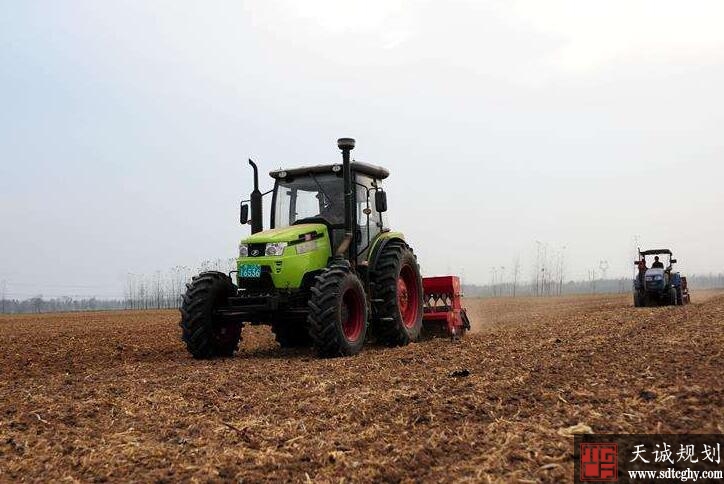 邳州市因地制宜探索土地经营模式实现质量和数量“双提升”