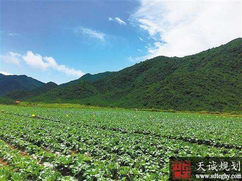 开阳县570余户签订土地流转合同 稳推蔬菜保供基地“千亩核心区”