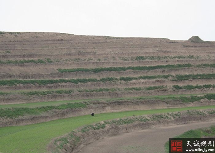 苍溪县启动实施工矿废弃地复垦项目可新增耕地89.4亩