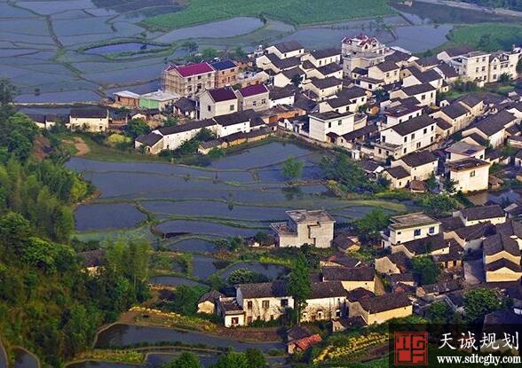 农土地流转和规模经营为实施乡村振兴战略护航