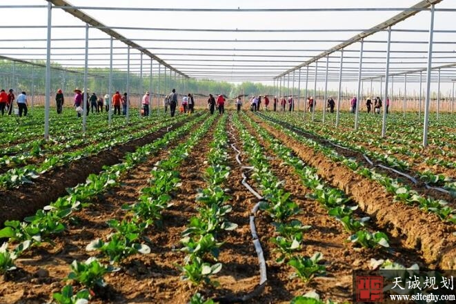 泗阳县2334万改造小型农田水利改善农业生产条件