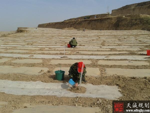 农业农村部帮黑龙内蒙抗旱保苗增产各项措施稳定粮食生产