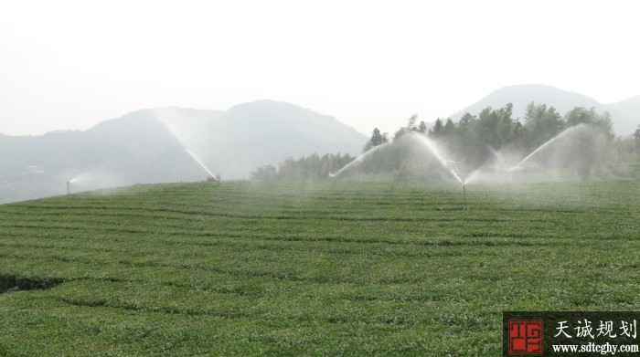 河南3-5年内在郑州要集中联片建百万亩高效节水灌溉示范区